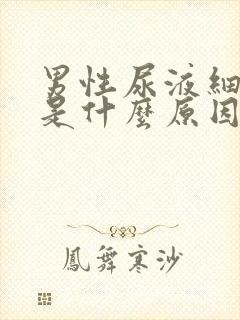 男性尿液细菌高是什么原因