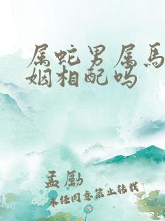 属蛇男属马女婚姻相配吗