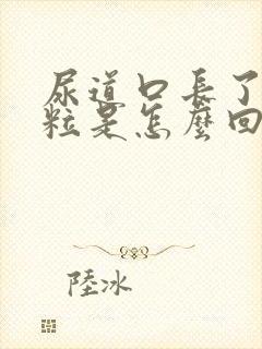 尿道口长了肉颗粒是怎么回事