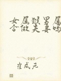 女属猴男属狗适合做夫妻吗