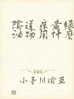 阴道痒黄绿色分泌物用什么药