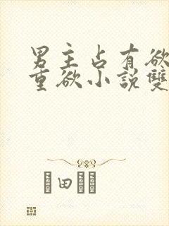 男主占有欲强且重欲小说双男主