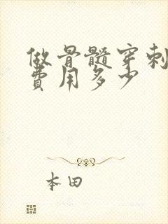 做骨髓穿刺疼吗费用多少