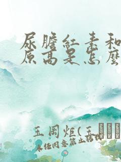 尿胆红素和尿胆原高是怎么回事