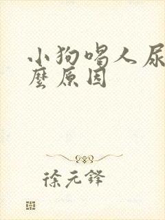 小狗喝人尿是什么原因