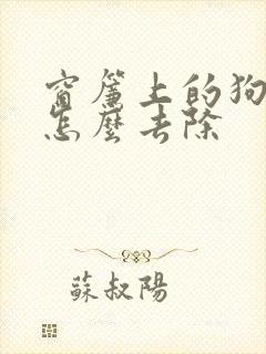 窗帘上的狗尿味怎么去除