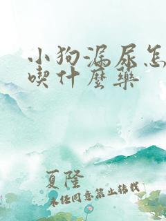 小狗漏尿怎么办吃什么药