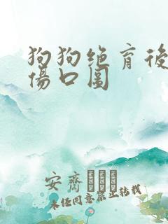 狗狗绝育后正常伤口图