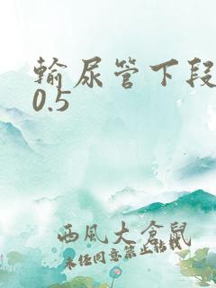 输尿管下段结石0.5