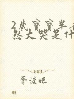 2岁宝宝半夜突然大哭是什么原因