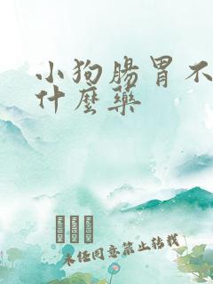 小狗肠胃不好吃什么药