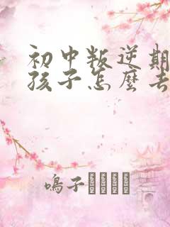 初中叛逆期的男孩子怎么去引导