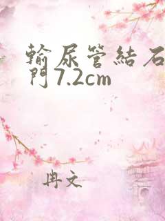 输尿管结石距肾门7.2cm