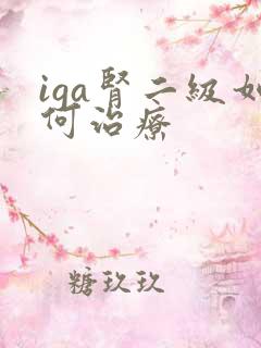 iga肾二级如何治疗