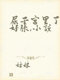 尿子宫里了肚子好胀,小说