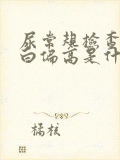 尿常规检查尿蛋白偏高是什么原因