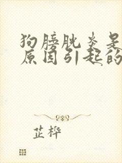 狗膀胱炎是什么原因引起的