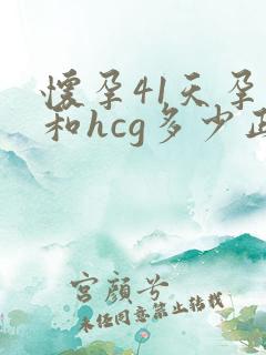 怀孕41天孕酮和hcg多少正常