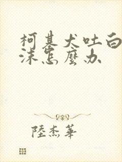 柯基犬吐白色泡沫怎么办