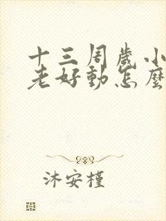 十三周岁小男孩老好动怎么回事