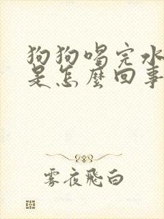 狗狗喝完水就尿是怎么回事