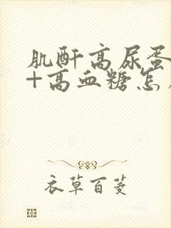 肌酐高尿蛋白3+高血糖怎么办