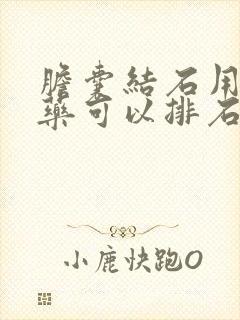 胆囊结石用什么药可以排石