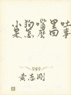 小狗嘴里吐粘液是怎么回事