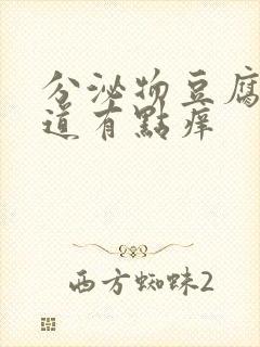 分泌物豆腐渣阴道有点痒