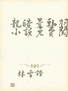 龙皓晨韩羽cp小说免费阅读