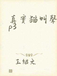 真实猫叫声音mp3