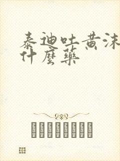 泰迪吐黄沫子吃什么药