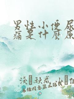 男性小便尿道刺痛是什么原因