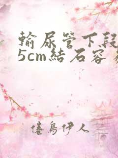 输尿管下段0.5cm结石容易排出吗