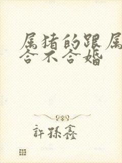 属猪的跟属马的合不合婚