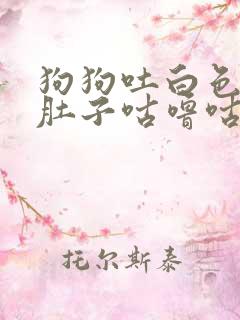 狗狗吐白色粘液肚子咕噜咕噜响