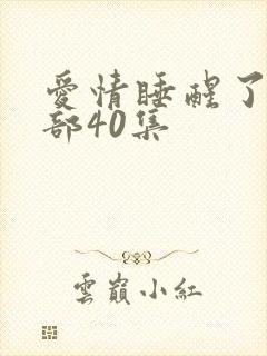 爱情睡醒了第二部40集