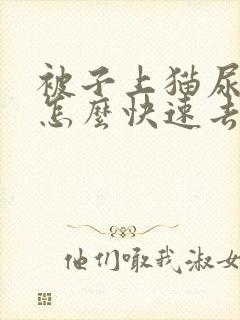 被子上猫尿骚味怎么快速去除