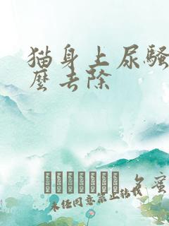 猫身上尿骚味怎么去除