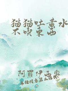 猫猫吐黄水拉稀不吃东西