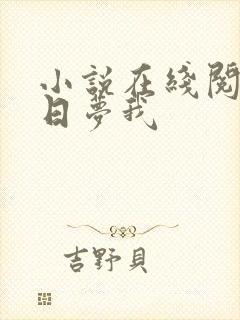 小说在线阅读白日梦我