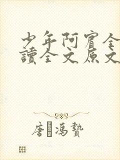 少年阿宾全文阅读全文原文