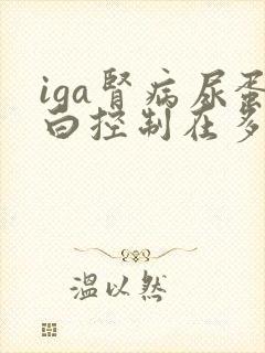 iga肾病尿蛋白控制在多少以下