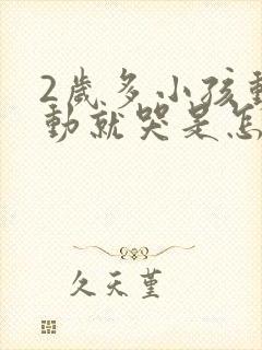 2岁多小孩动不动就哭是怎么回事