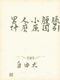 男人小腹胀痛是什么原因引起的