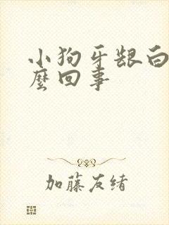 小狗牙龈白是怎么回事