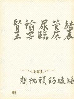 肾输尿管结石的主要临床表现是