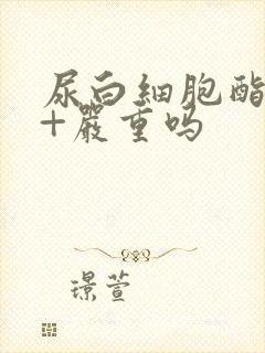 尿白细胞酯酶3+严重吗