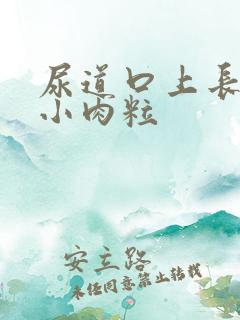 尿道口上长了个小肉粒