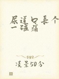 尿道口长个疙瘩一碰痛